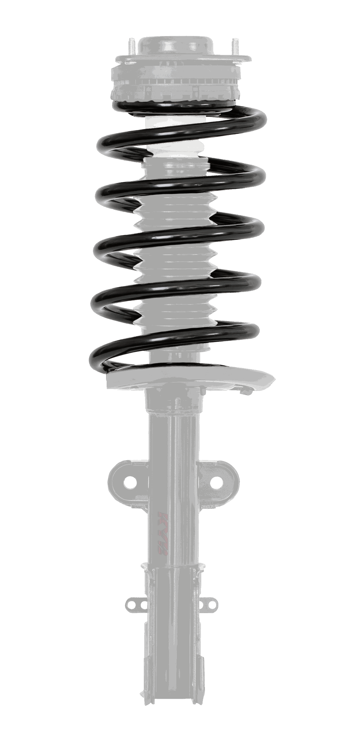 Coil spring highlight